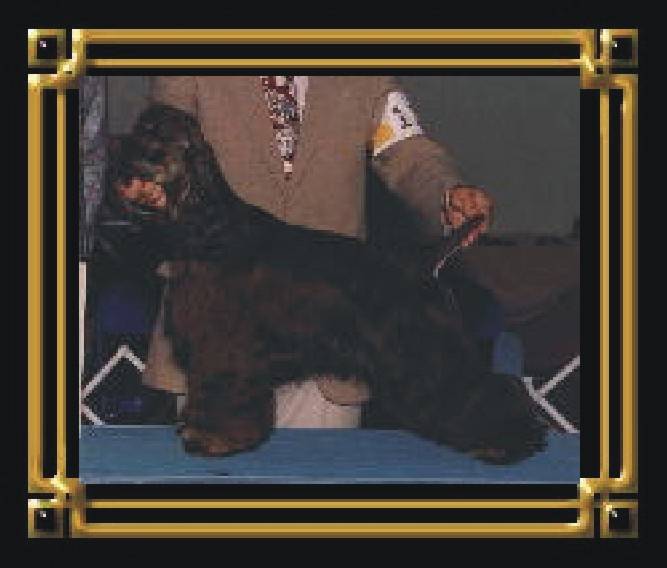 jake2.jpg